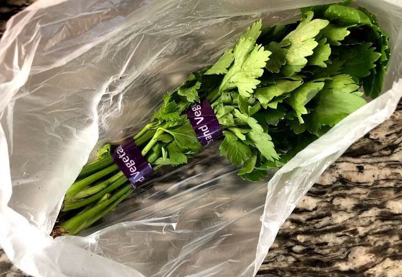 chinesecelery